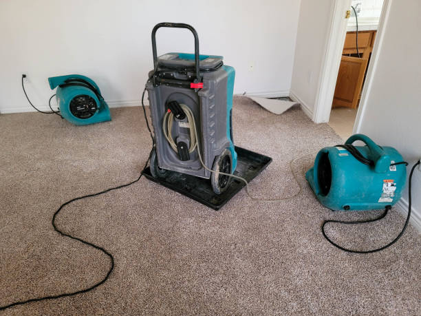 Best Sewage cleanup and water damage restoration  in Westbrook, ME