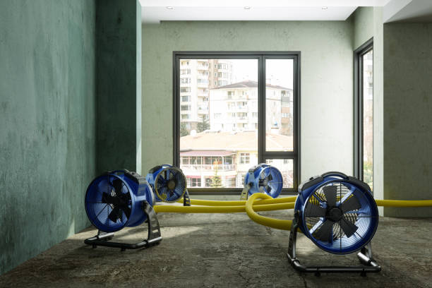 Best 24-hour water damage restoration  in Westbrook, ME